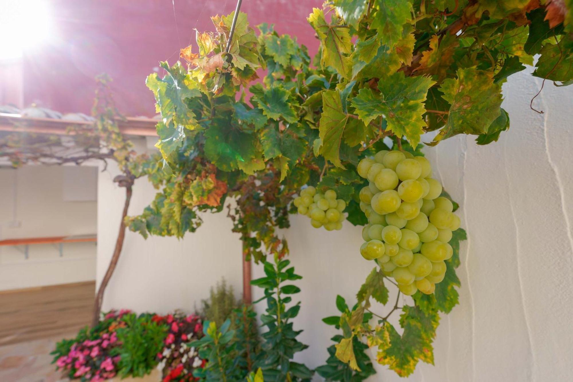 Guest House Deidda - Ts Rooms B&B San Sperate 외부 사진